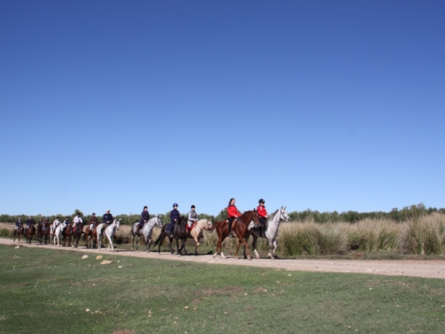  Reiten auf dem Weg